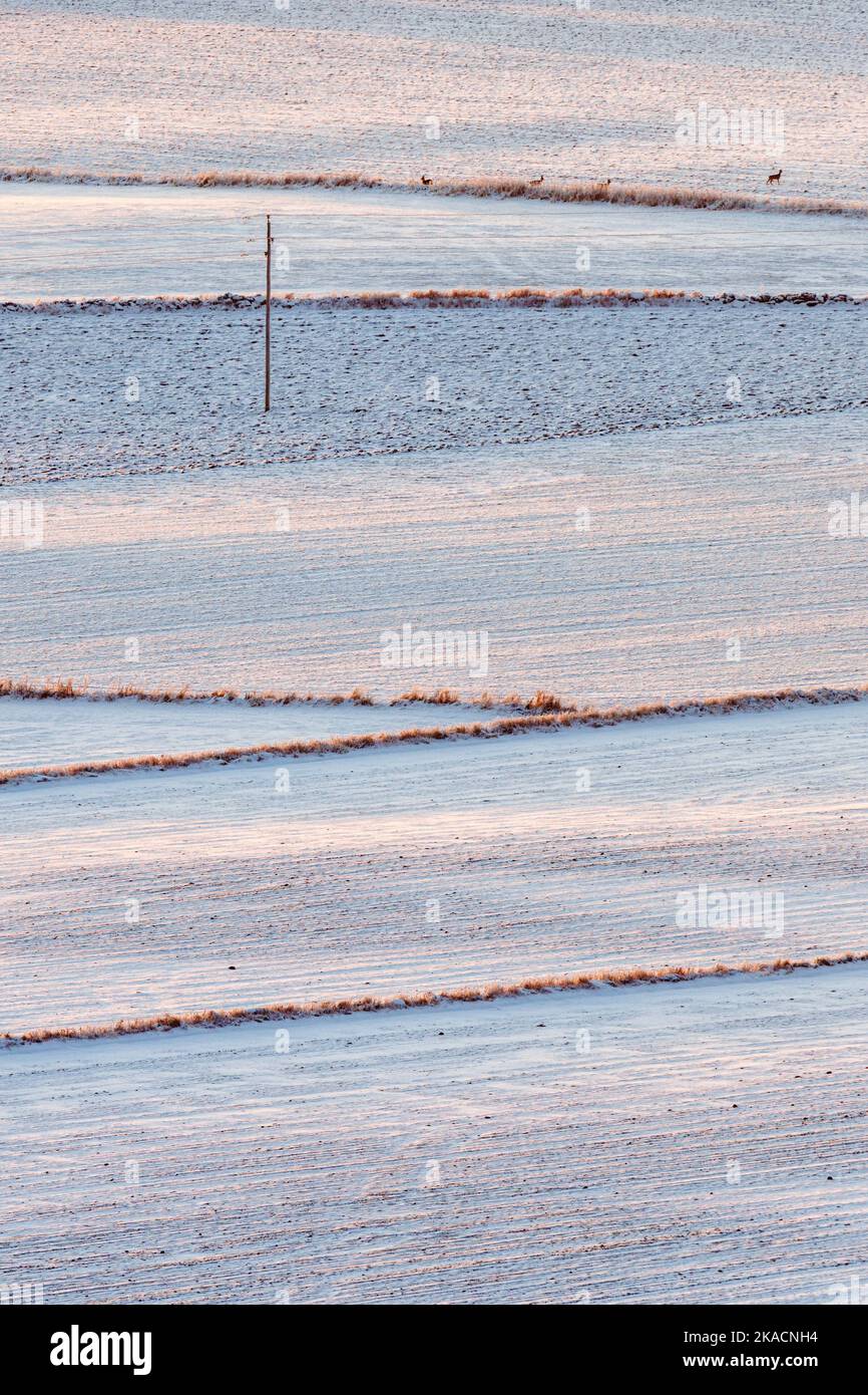 Paesaggio patchwork con campi innevati Foto Stock