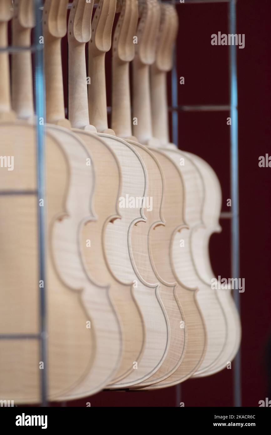 Italia, Lombardia, Cremona, Cremona Musica Mostra Internazionale e Festival 2022, Violins Standing Foto Stock