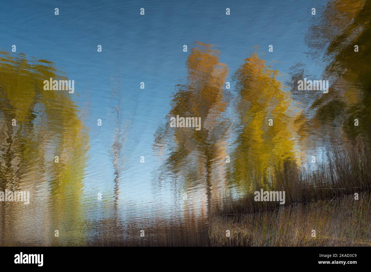 Alberi di diversi colori dell'autunno riflessi nell'acqua. Impressioni fotografiche Foto Stock