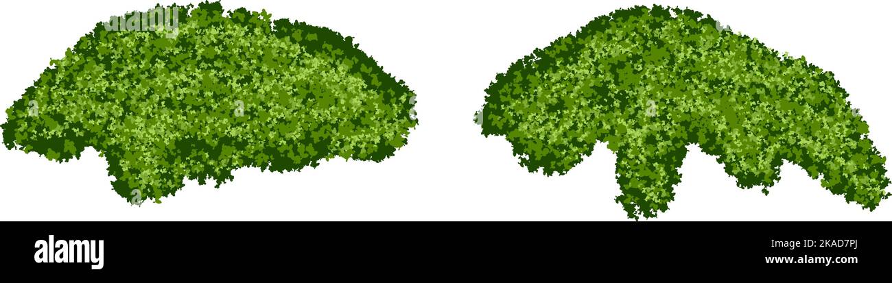 Set di cespugli di muschio verde brillante o lichene di foresta con texture realistiche isolate su sfondo bianco Illustrazione Vettoriale