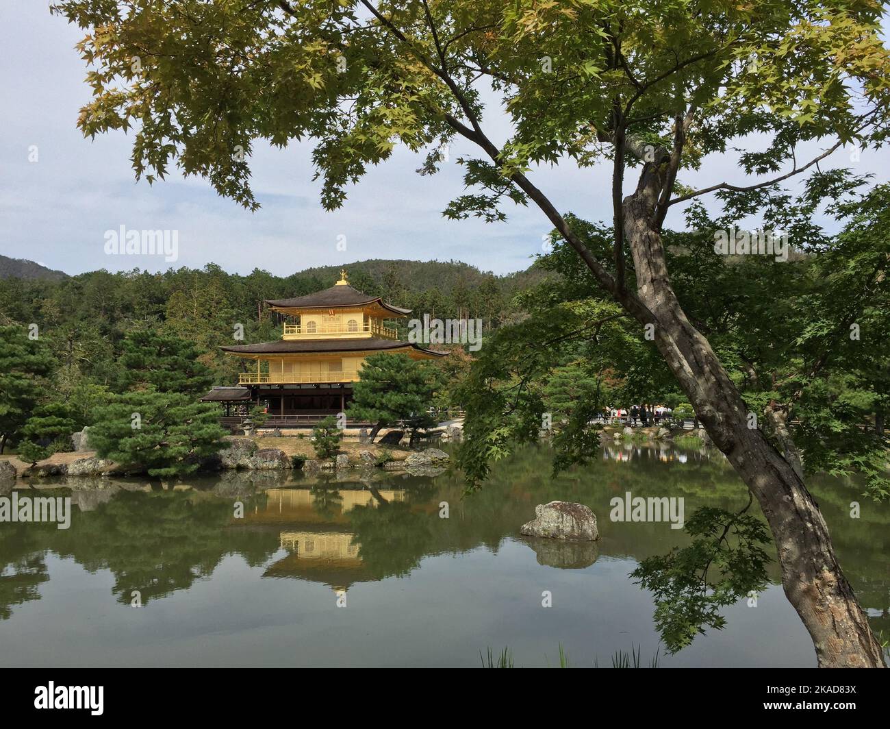 La vista di Kinkaku-ji comunemente conosciuto come il Padiglione dorato. Tempio buddista di Zen a Kyoto, Giappone. Foto Stock
