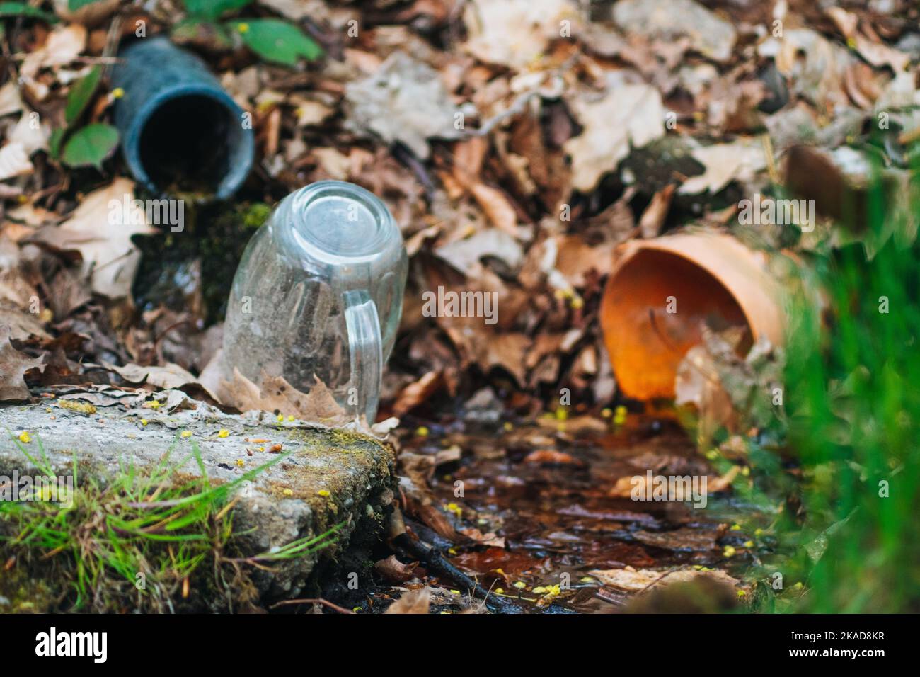 Un primo piano di un vetro rotto su una pietra vicino a tubi di drenaggio tra foglie autunnali cadute nella foresta in luce del giorno con sfondo sfocato Foto Stock