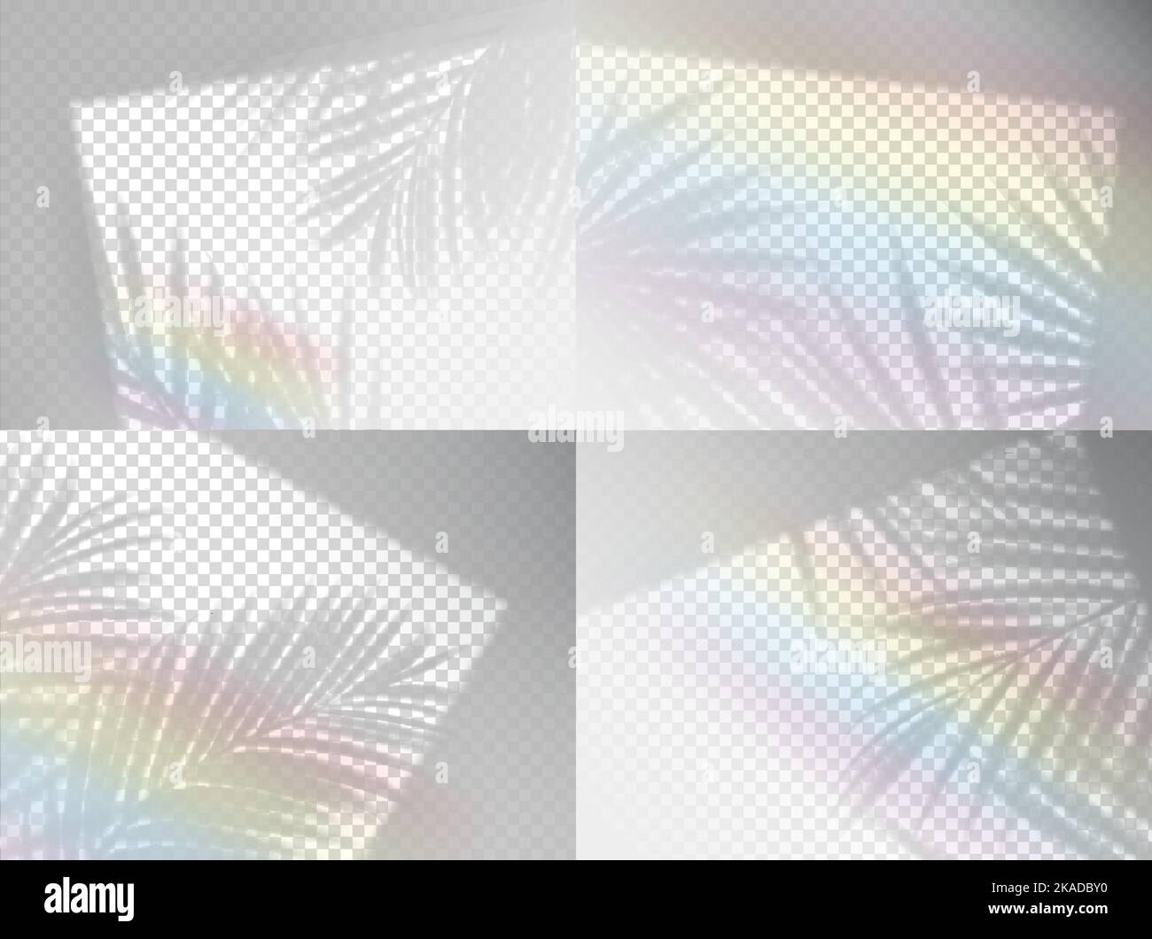 La palma trasparente lascia ombra con arcobaleno, sovrapposizione di sfondo ed effetto di luce vettoriale. Estate foglia di palma ombra overlay con luce solare attraverso la finestra su parete o soffitto, effetto ombra realistica luce Illustrazione Vettoriale