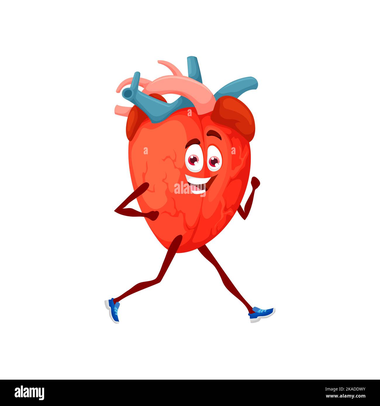 Cartone animato che corre il carattere del cuore che fa jogging per mantenere la salute. Vettore isolato atleta organo facendo cardio allenamento, esercizi sportivi. Cardiologia personale medico stile di vita attivo, prevenzione degli attacchi di cuore Illustrazione Vettoriale