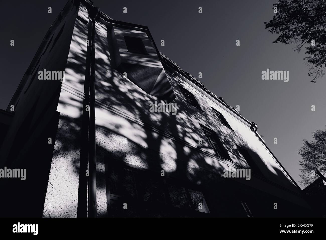 Vista dall'angolo basso dell'edificio con messa a fuoco sull'ombra di un albero Foto Stock