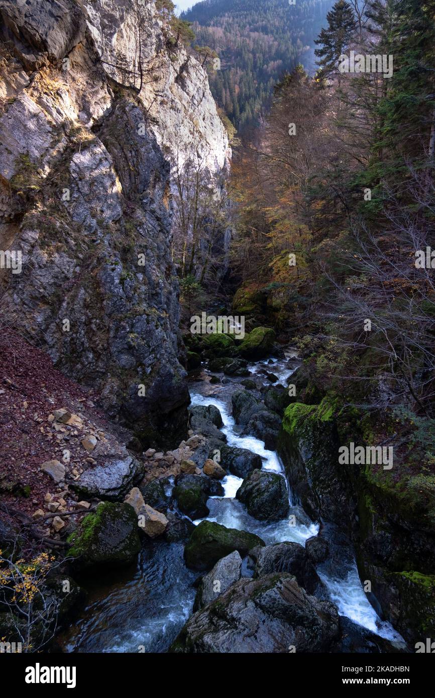 Gorges de l'Areuse, Noirague, Neuchatel, Svizzera, Europa. Bellissimo paesaggio autunnale romantico in montagna Jura. Fiume con cascata, natu autunnale Foto Stock