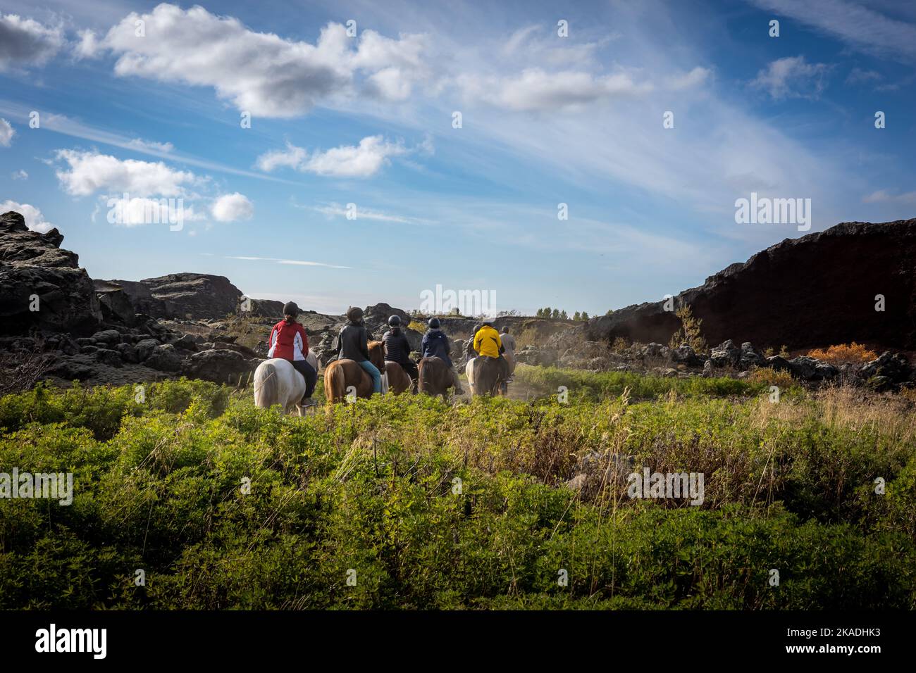 Reykjavik, Islanda - 22 settembre 2022: Un gruppo di cavalieri sui cavalli islandesi. Paesaggio vulcanico della foresta di Heidmork in autunno. Foto Stock