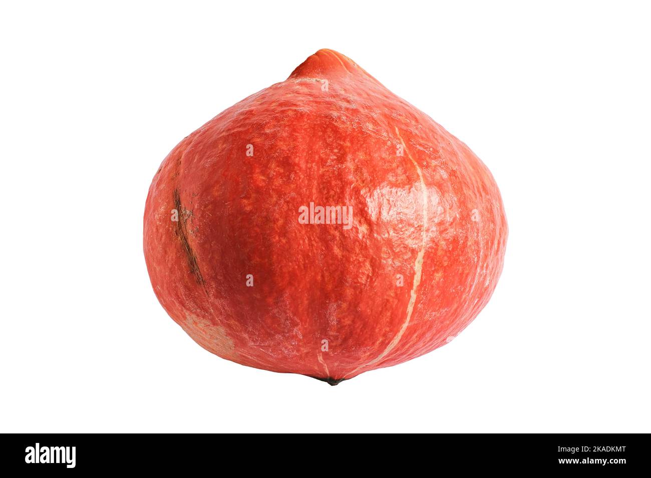 Zucca hokkaido fresca isolata su sfondo bianco. Foto Stock