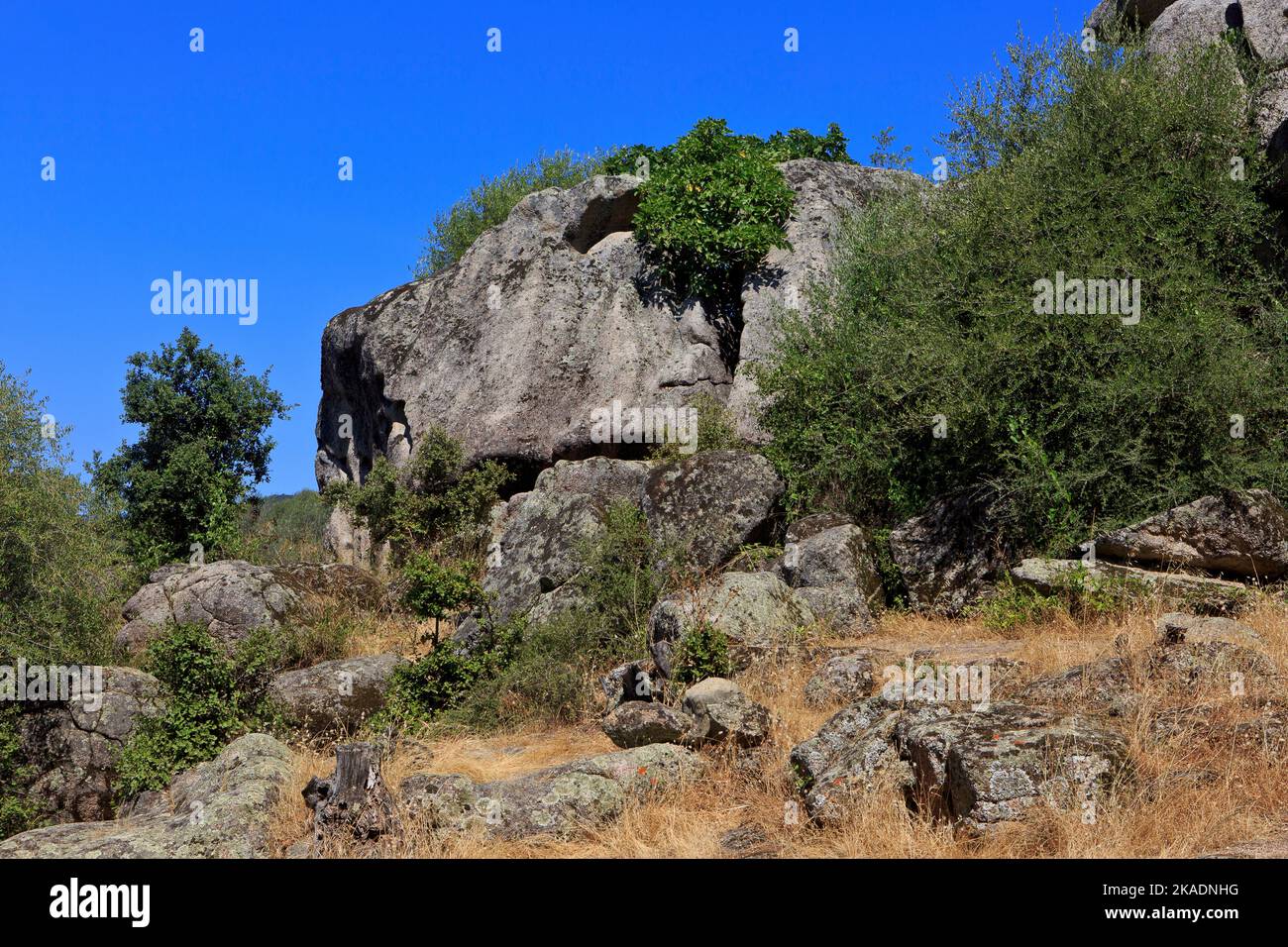 Una formazione rocciosa di granito nel sito megalitico di Filitosa (Corse-du-Sud) sulle isole della Corsica, Francia Foto Stock