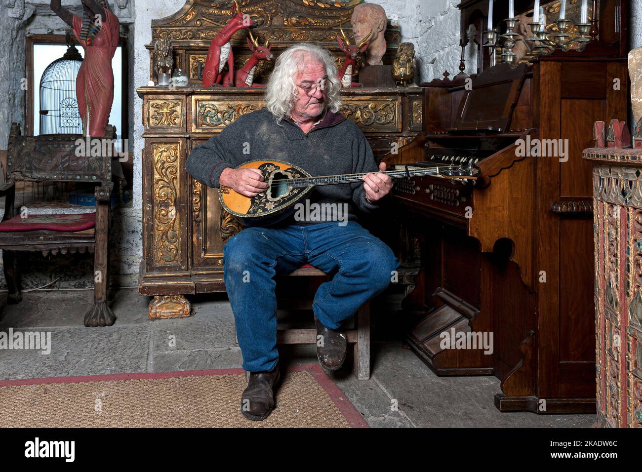 Alec Finn, musicista tradizionale irlandese che suona il bouzouki Foto Stock