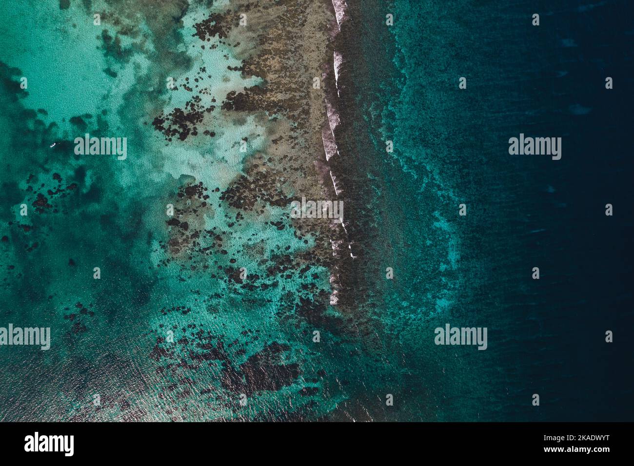 Foto aeree della barriera Corallina Belize al largo della costa settentrionale di Ambergris Caye. Foto Stock