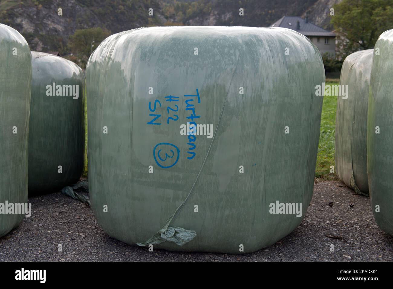 Balle rotonde con lana vergine di pecora Vallese dal naso nero sono pronte per il trasporto successivo, punto di raccolta della lana, Turtmann, Vallese, Svizzera Foto Stock