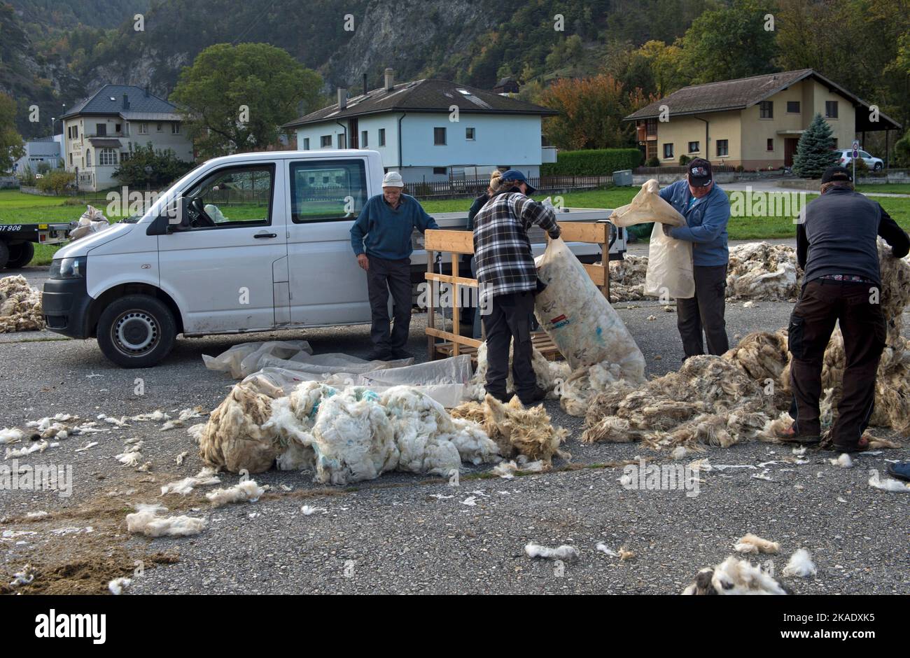 Allevatore di ovini dell'Alto Vallese che consegna lana da pecora di naso nero Vallese in un punto di raccolta della lana sul campo d'aviazione di Turtmann, Turtmann, Svizzera Foto Stock