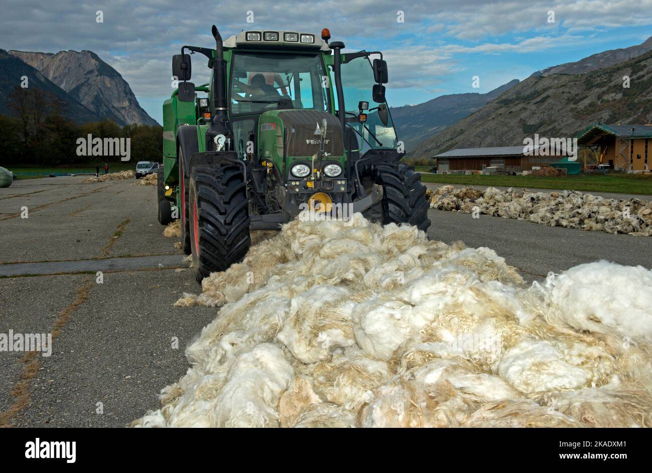 Trattore con rotopressa per la raccolta della lana di pecora, punto di raccolta Swisswool per la raccolta della lana vergine di pecora di naso nero Vallese, Turtmann, Vallese, Svizzerola Foto Stock