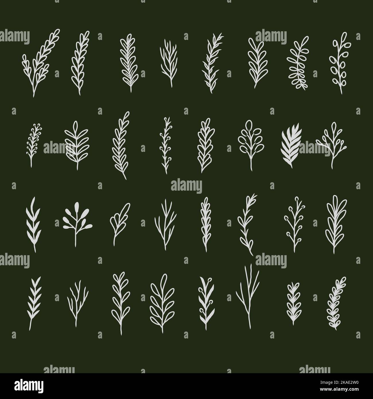 mano disegnata vegetazione botanica foglie set collezione Illustrazione Vettoriale