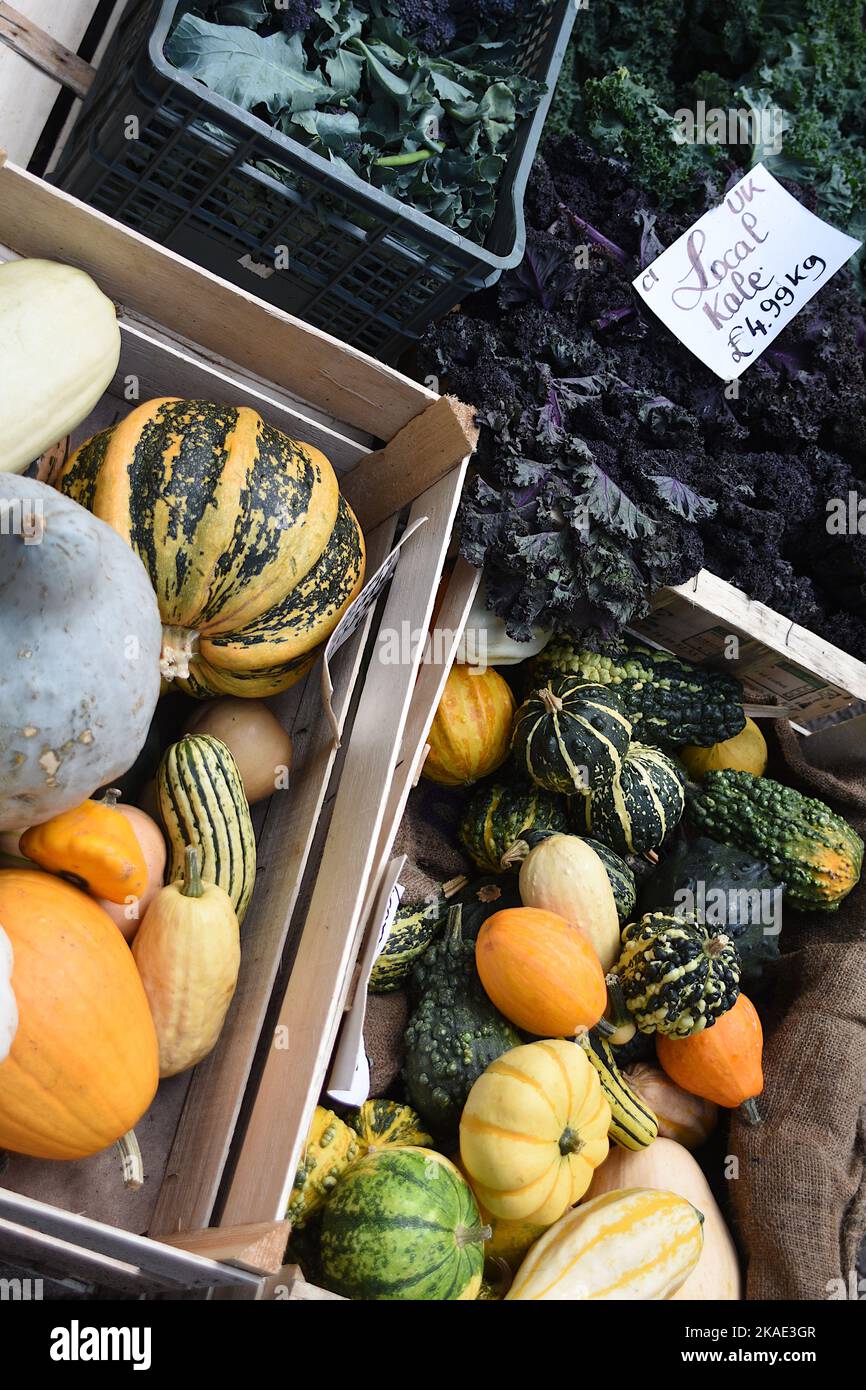 Squash invernale in scatole Foto Stock