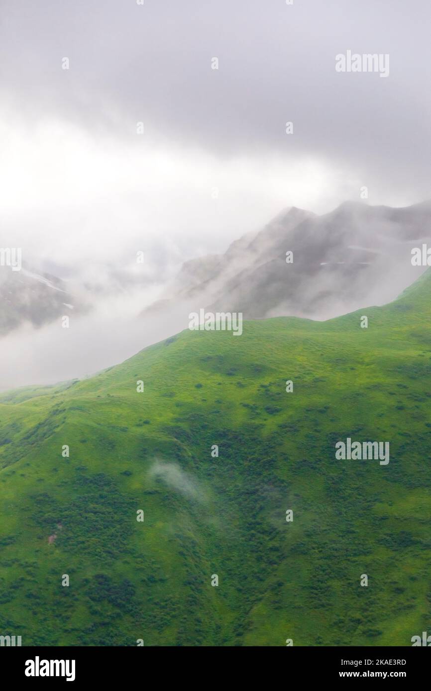 Misty; nebbia; veduta aerea della remota isola di Kodiak; de Havilland; Beaver; float plane; Alaska; STATI UNITI Foto Stock