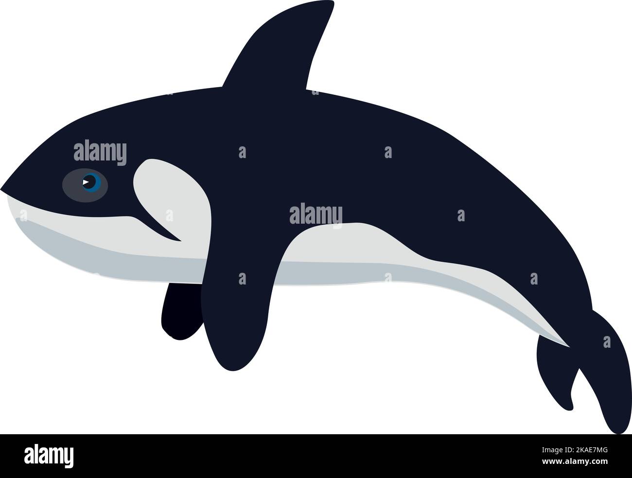 Icona Orca. Animale subacqueo. Fauna dell'oceano artico Illustrazione Vettoriale