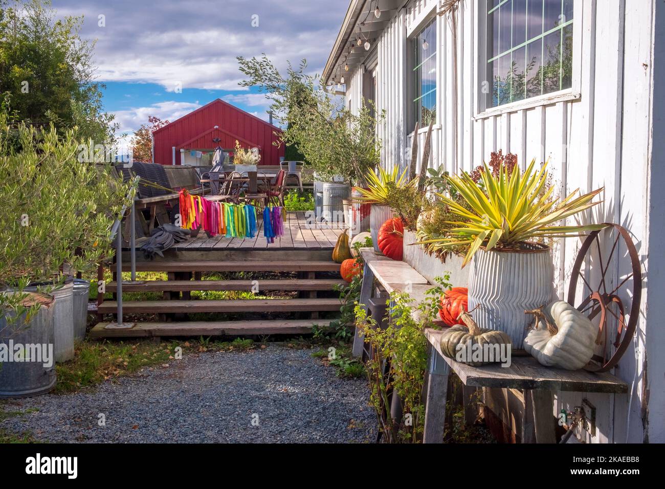 Piante colorate e area giardino, Skagit County, Washington, USA Foto Stock