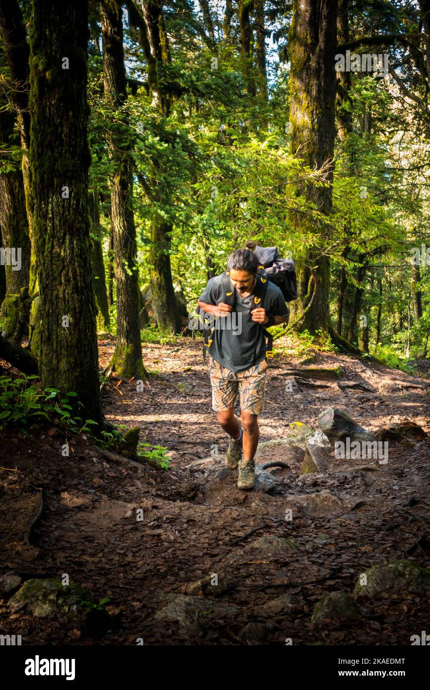 Luglio 14th 2022, Himachal Pradesh India. Un solista maschio trekking con uno zaino in mezzo alla foresta di deodar durante Shrikhand Mahadev Kailash Yatra in Himalaya Foto Stock