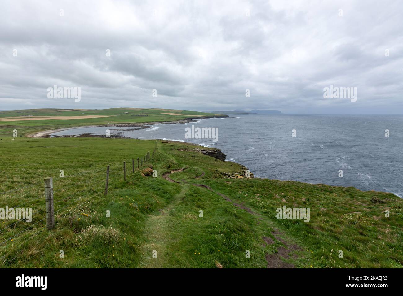 Vista costiera dalla RSPB Scotland Marwick Head Nature Reserve, Orkney, Scotland, UK Foto Stock