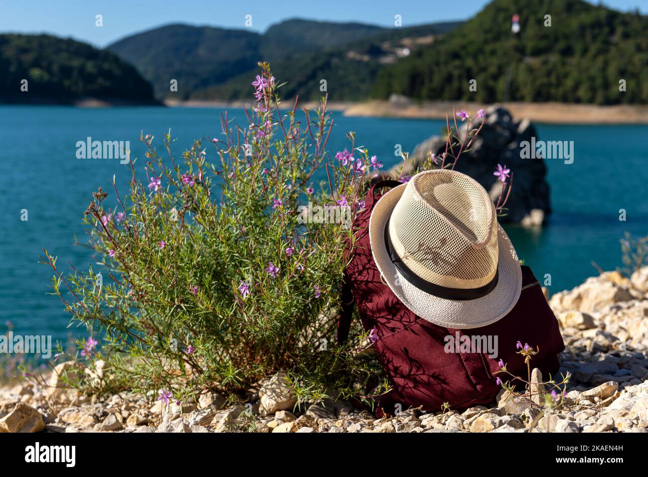 Zaino da viaggio con cappello di paglia accanto ai fiori sul lago costiero durante il giorno di sole estivo. Concetto di viaggio. Foto Stock