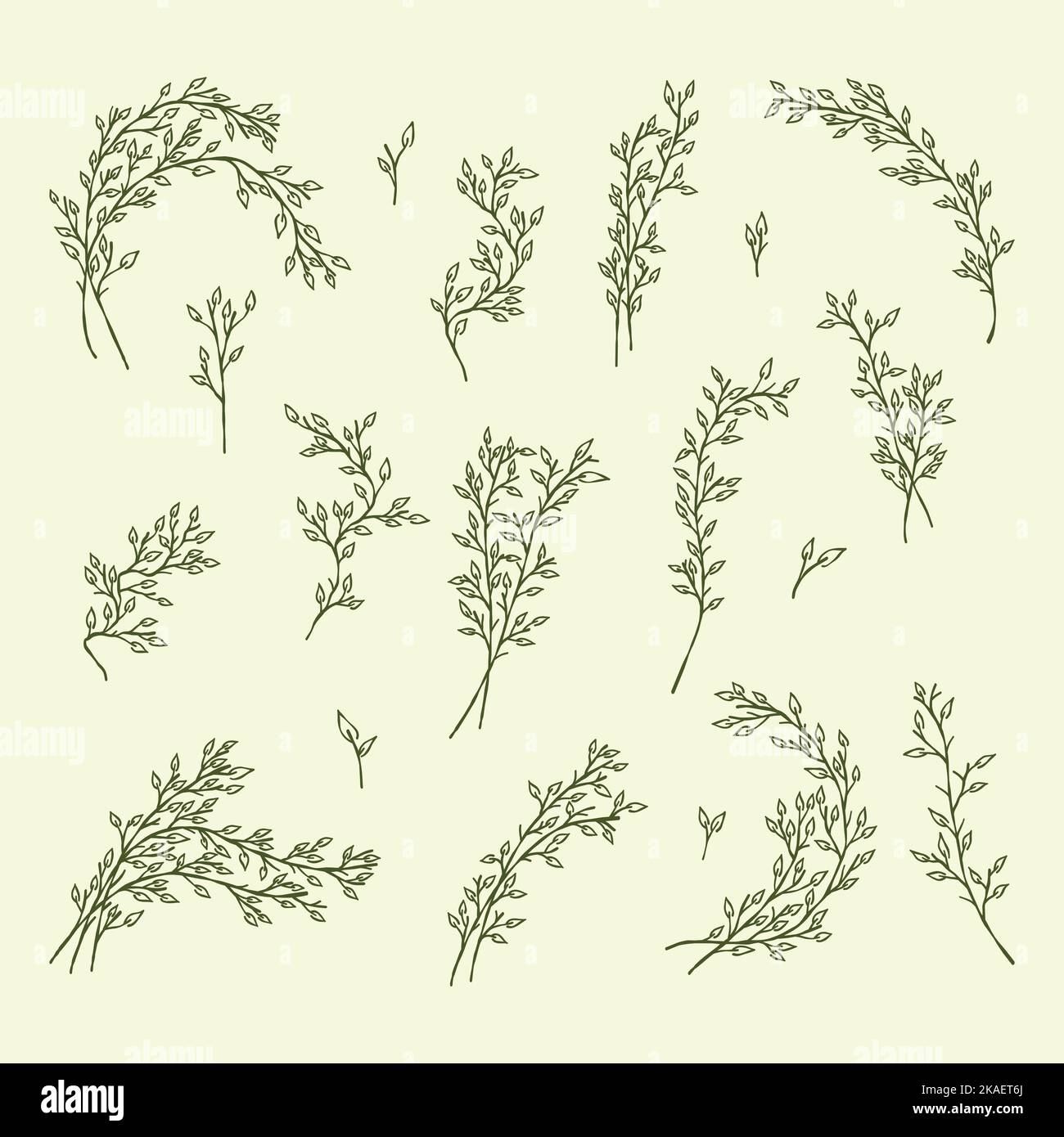 set botanico con disegni d'arte a linee minimal Illustrazione Vettoriale