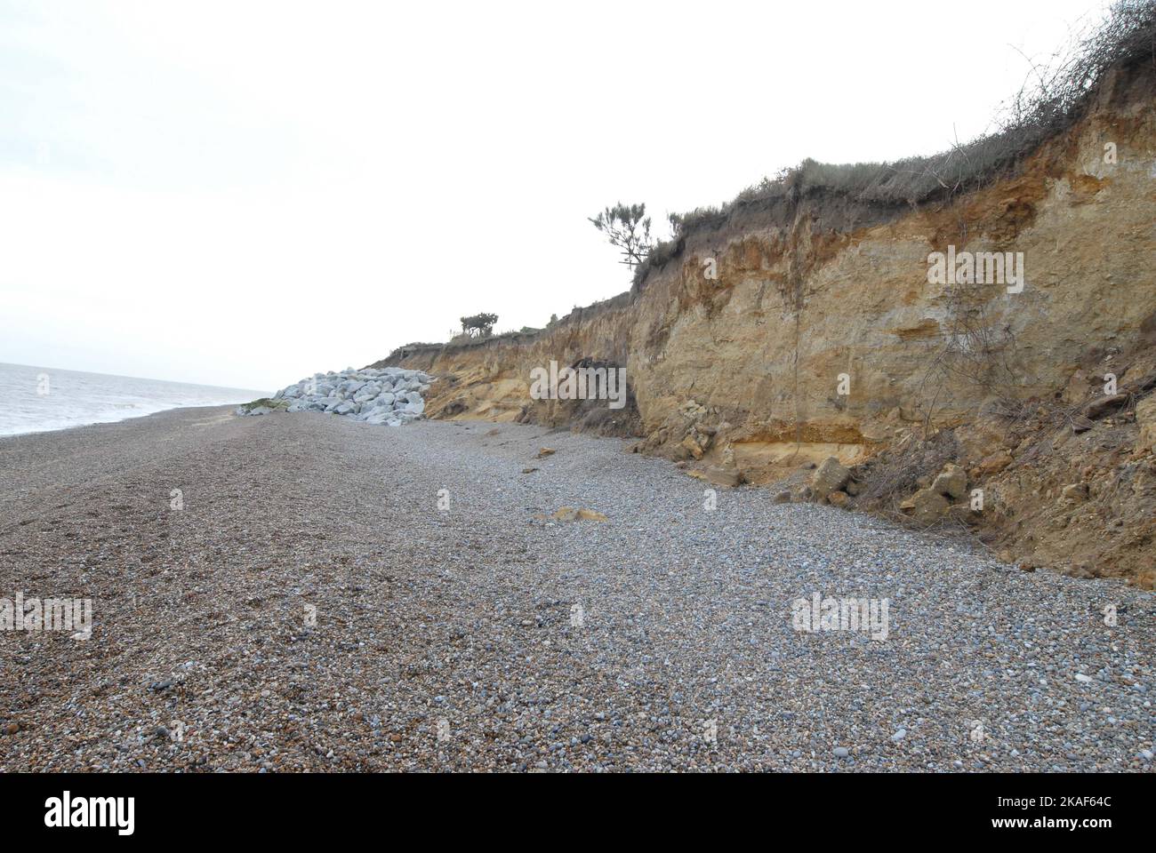 Vista delle scogliere che mostrano segni di erosione costiera, con alberi dai giardini sopra e protezione contro le alluvioni di rocce. Thorpeness 22/10/2022 Foto Stock