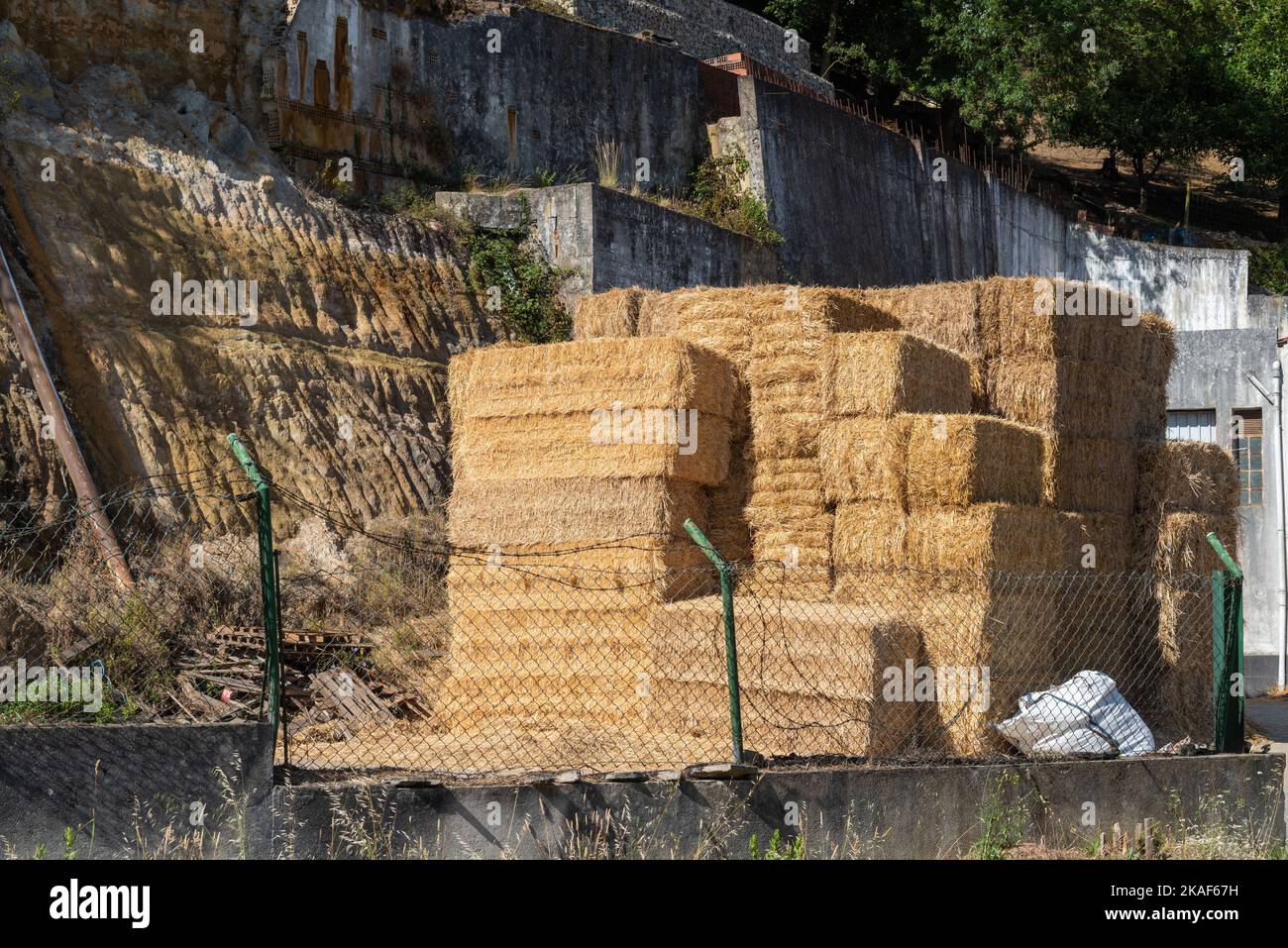 Un primo piano di una grande balla di fieno accanto a pareti in cemento di un edificio in sviluppo, e recinzione di filo verde nella parte anteriore Foto Stock