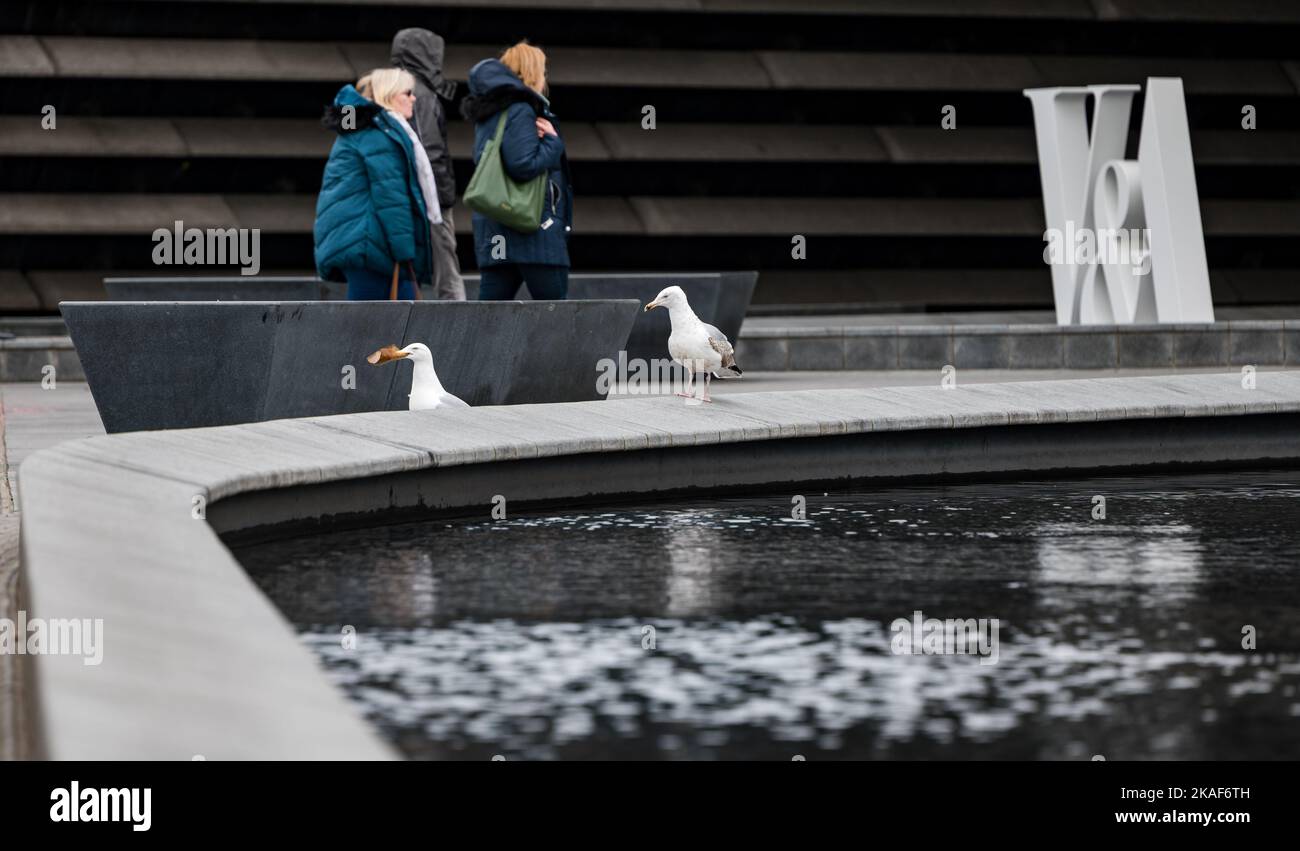 Ingresso al museo V&A con logo e gabbiani di aringa, Dundee Waterfront o Esplanade, Scozia, Regno Unito Foto Stock