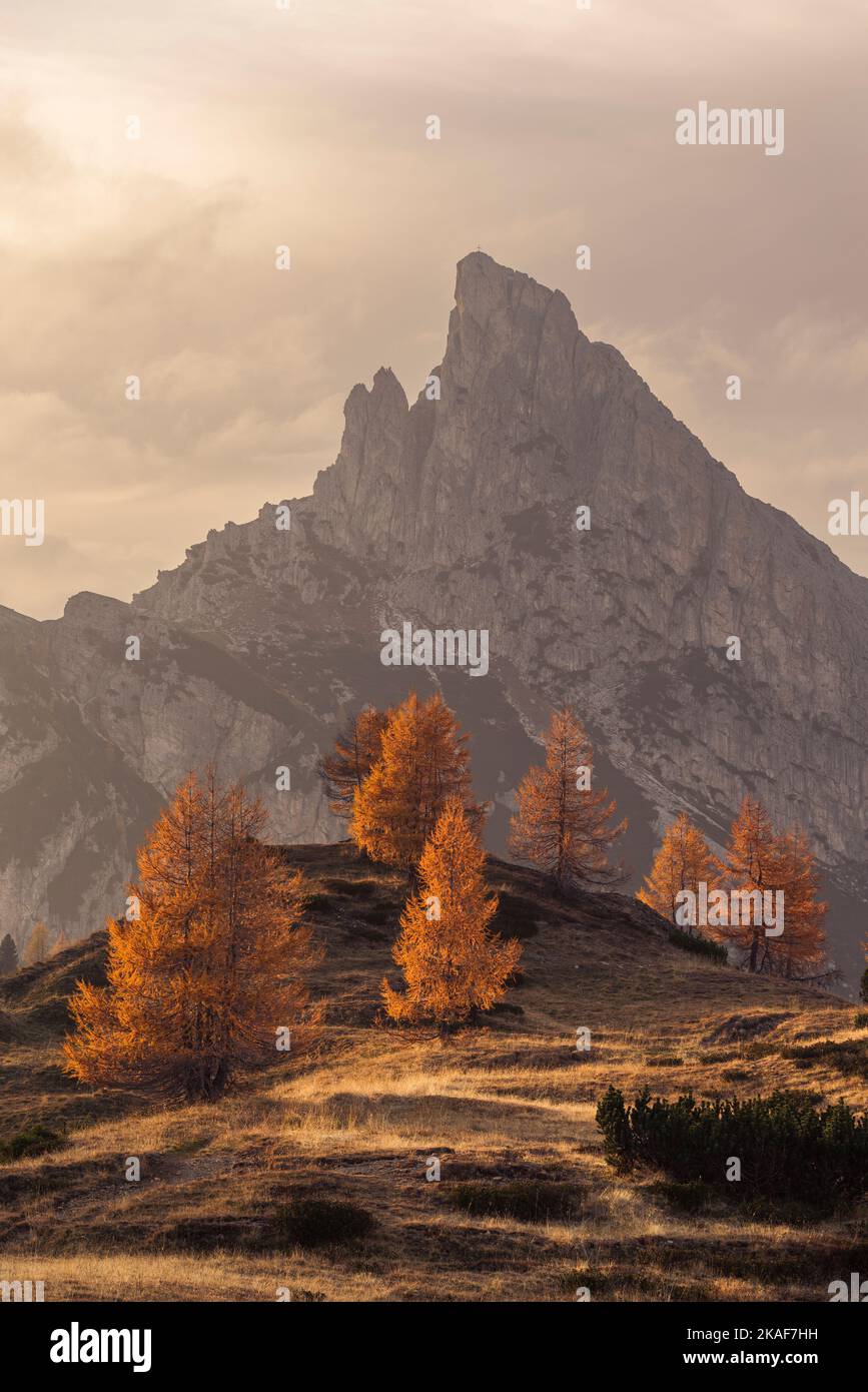 Tramonto con cielo luminoso sui prati e le foreste montane autunnali del Passo Falzarego e del Monte Hexenstein nelle Dolomiti Foto Stock