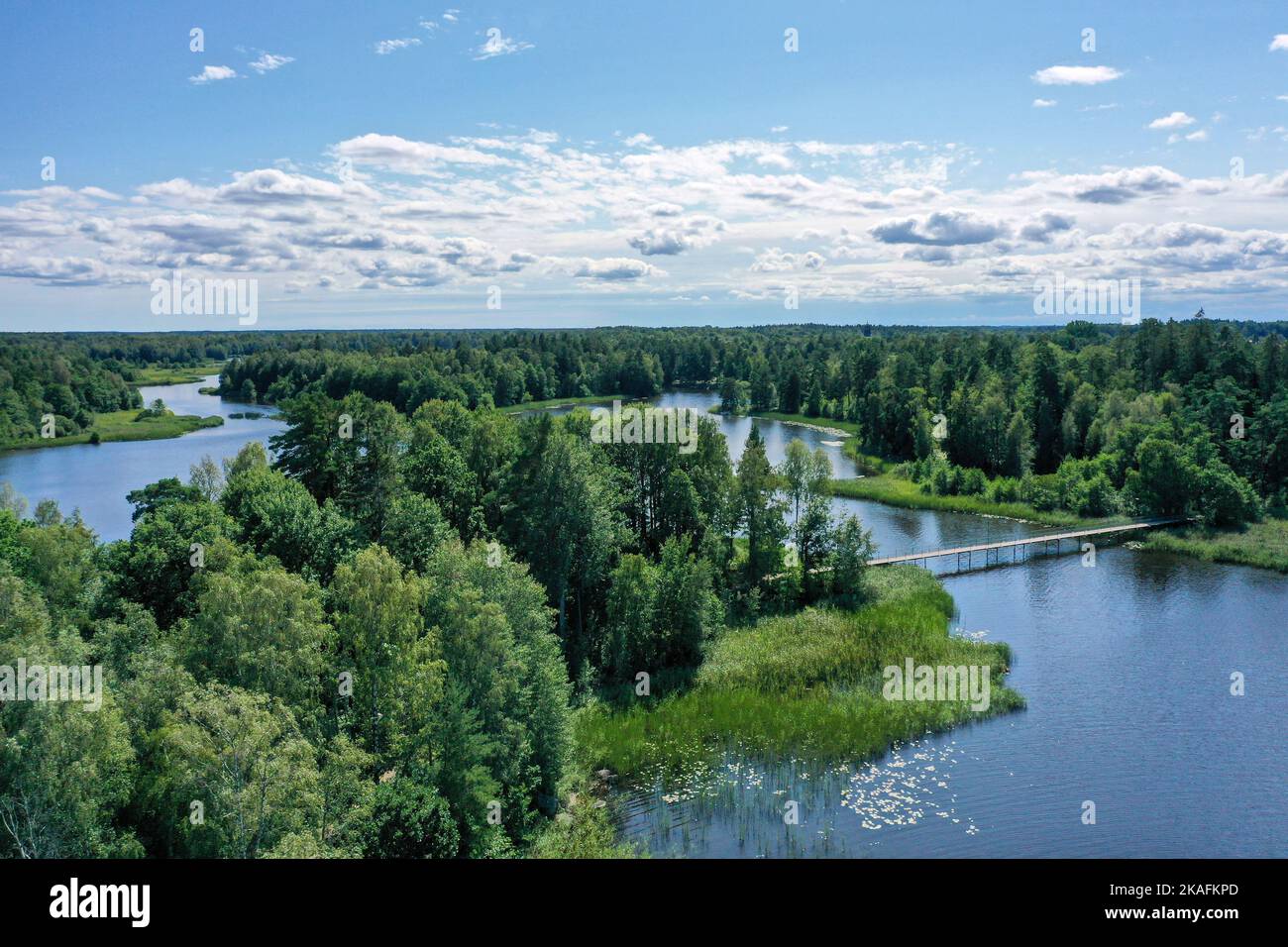 Una vista aerea di un lago e alberi nella foresta in Schleswig Holstein, Germania Foto Stock