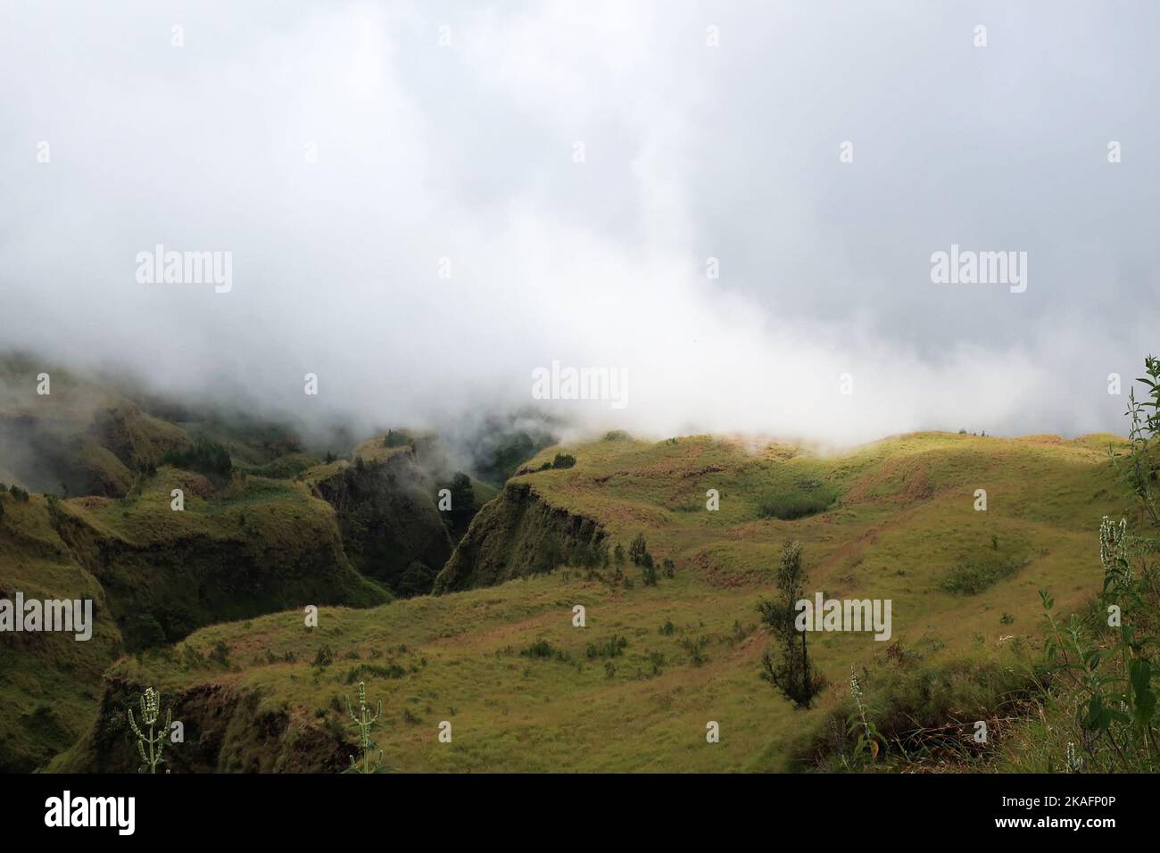 Foto della natura raffiguranti una nebbia coperta Mt. Rinjani, Indonesia Foto Stock