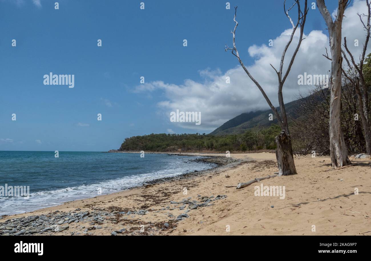 La scena a Wangetti Beach vicino Cairns nel Queensland settentrionale dove Toyah Cordingley è stato assassinato nel 2018. Un santuario è stato creato nella sua memoria. Foto Stock