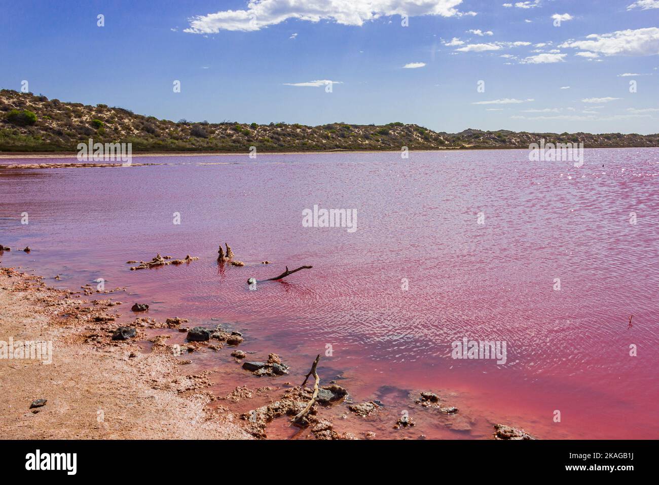 Diverse sfumature di colore rosa sull'acqua salata nella laguna di Hutt Pink Lake a Port Gregory della regione di Kalbarri nell'Australia Occidentale, Australia. Foto Stock