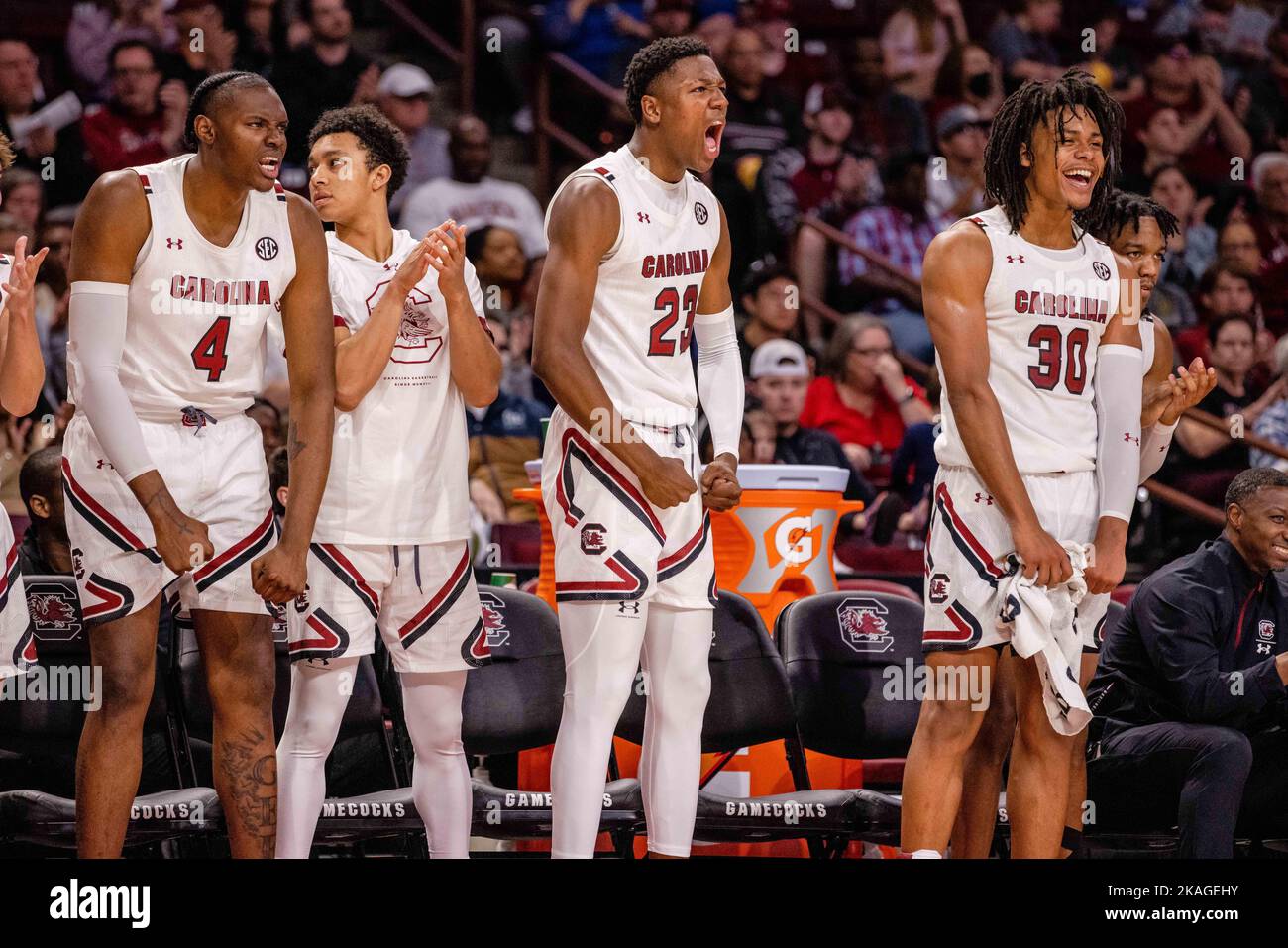 Columbia, SC, Stati Uniti. 2nd Nov 2022. South Carolina Gamecocks Bench festeggia durante il secondo tempo contro i Mars Hill Lions nel matchup NCAA Basketball alla Colonial Life Arena di Columbia, SC. (Scott Kinser/Cal Sport Media). Credit: csm/Alamy Live News Foto Stock
