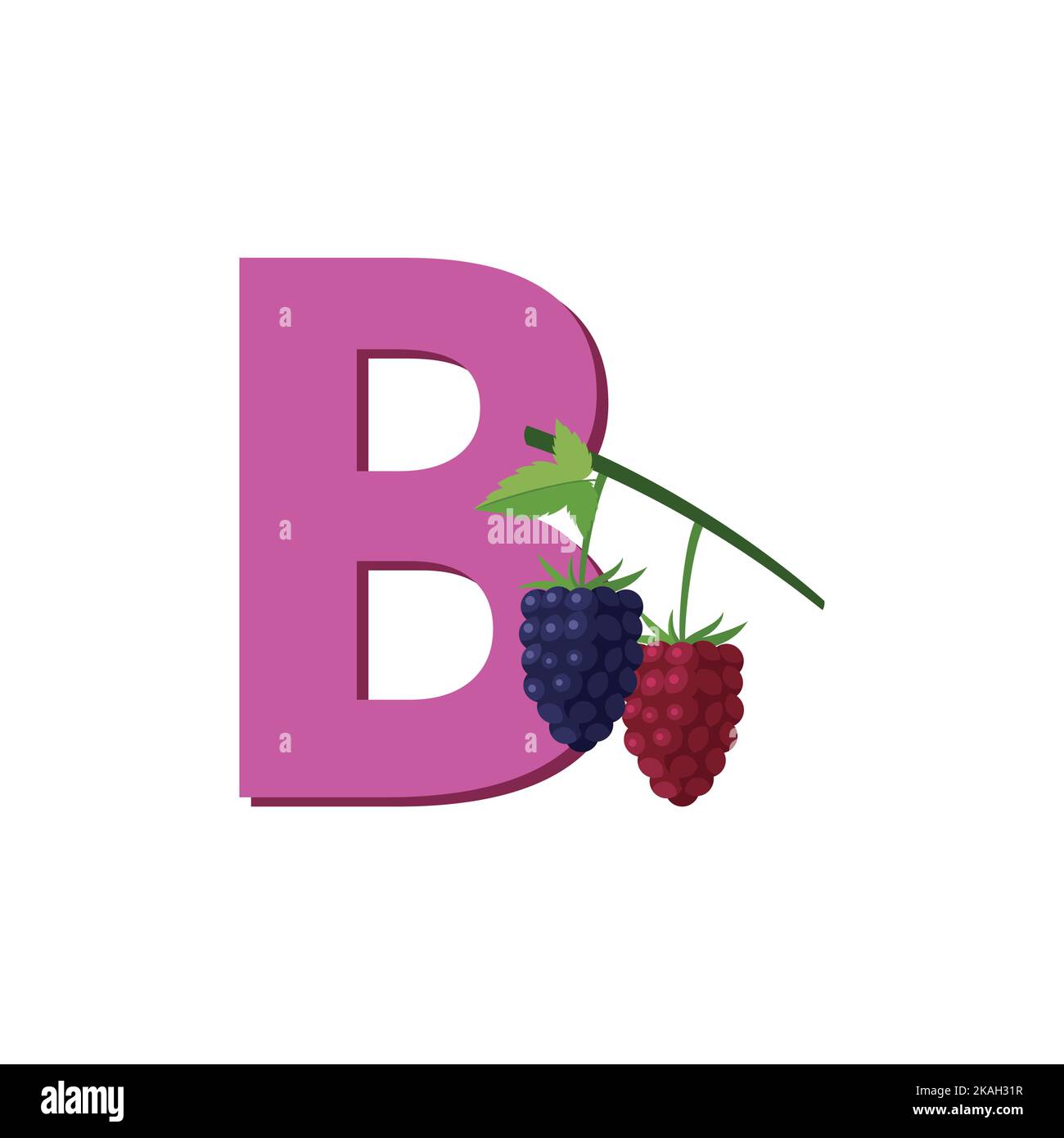 Boysenberries, Alphabet di frutta, clip Art Vector, Illustrazione per i bambini, lettera B. Illustrazione Vettoriale