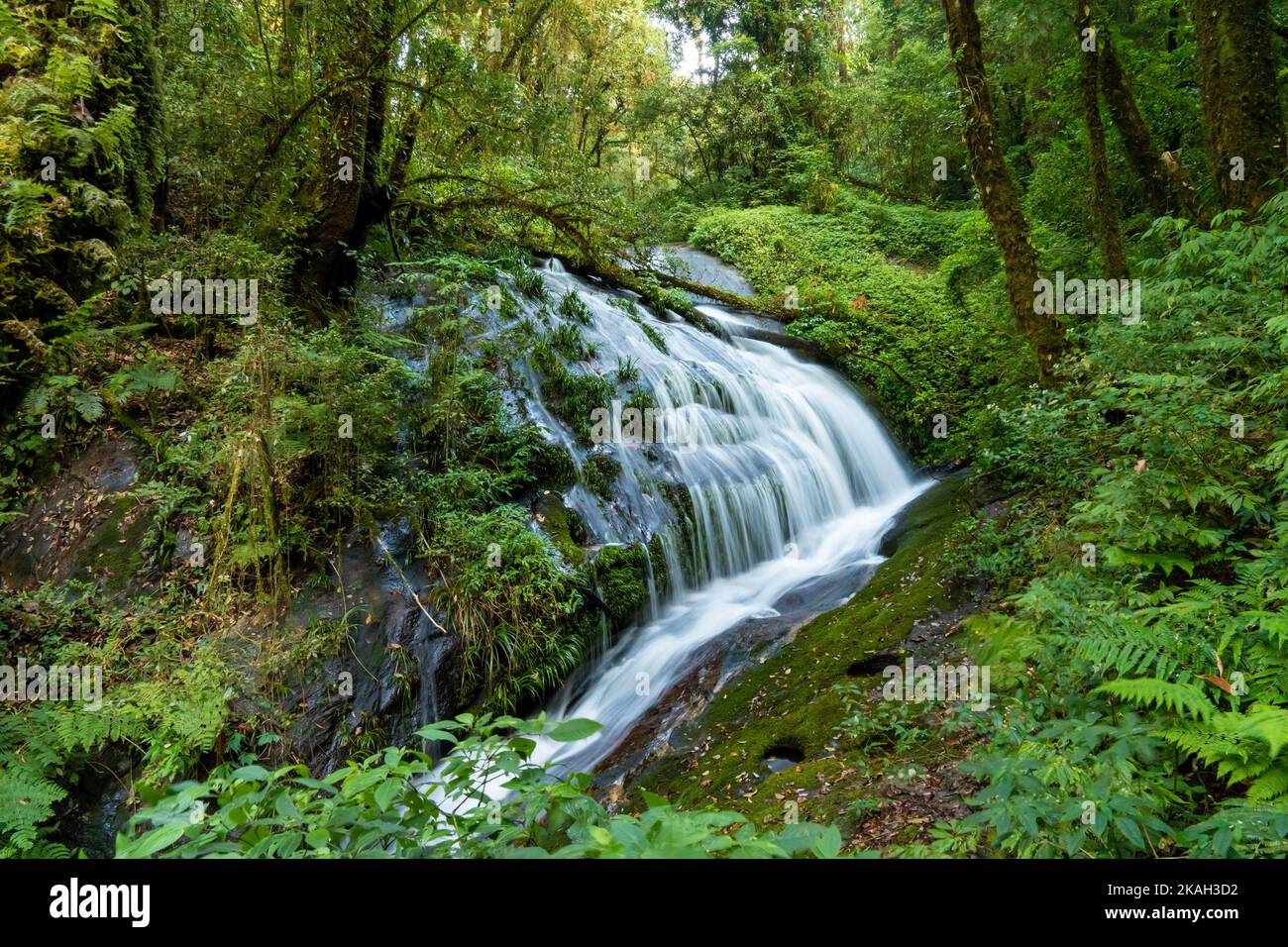 Prima cascata sul Kew Mae Pan Nature Trail a Doi Inthanon a Chiang mai, Thailandia Foto Stock