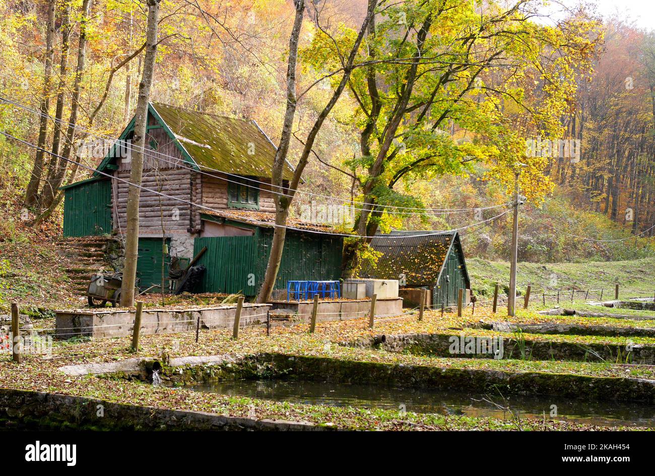 Vivaio di trote, Valle Szalajka, Parco Nazionale di Bukk, Monti Bukk, in autunno, ungheria settentrionale Foto Stock