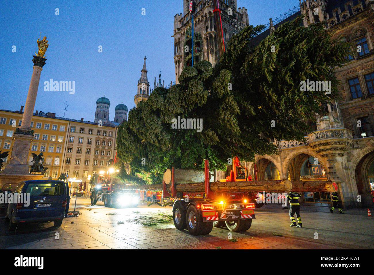 Monaco, Germania. 03rd Nov 2022. I vigili del fuoco hanno allestito l'albero di Natale su Marienplatz con l'aiuto di una gru. Credit: Lennart Preiss/dpa/Alamy Live News Foto Stock