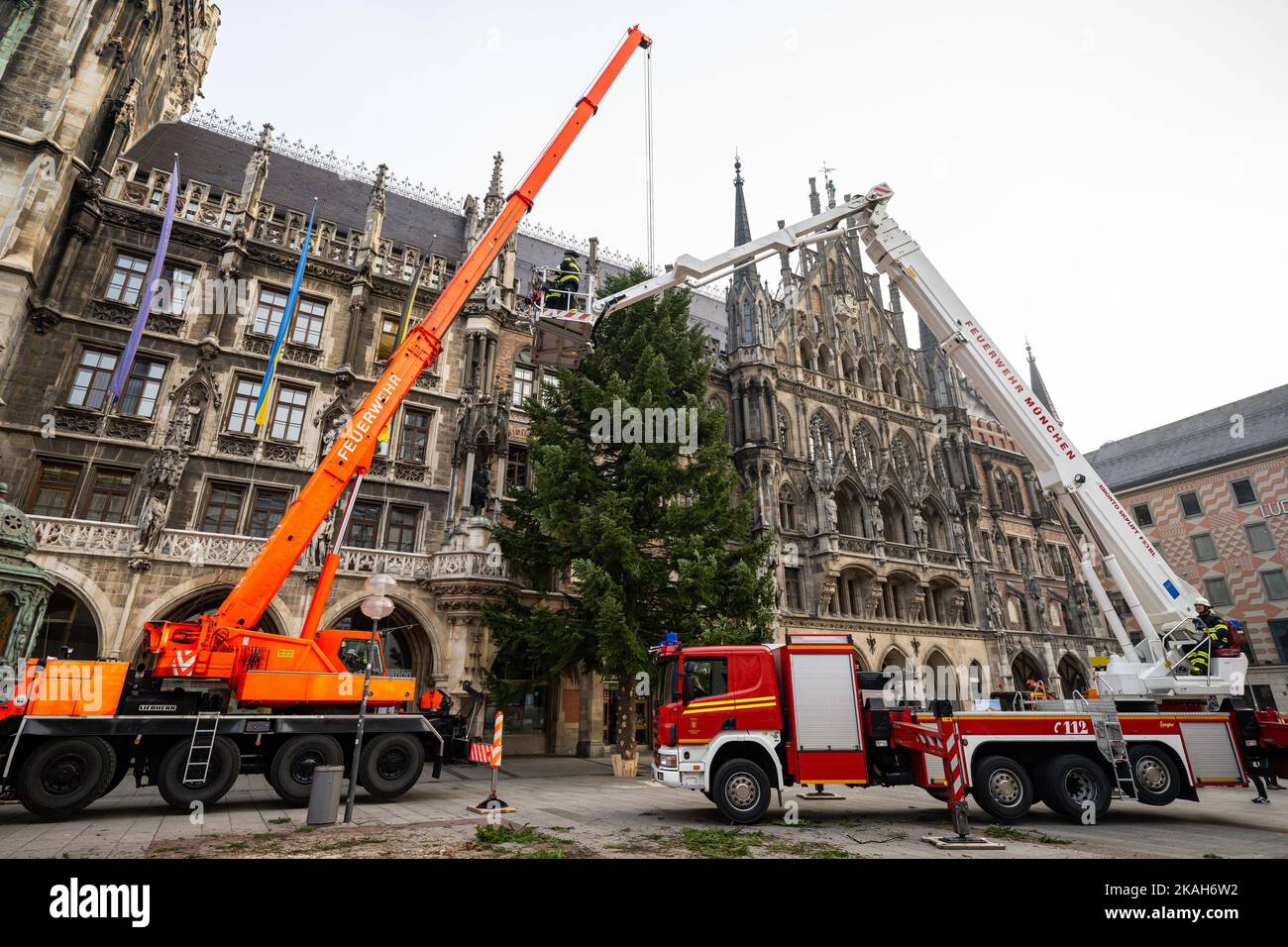 Monaco, Germania. 03rd Nov 2022. I vigili del fuoco hanno allestito l'albero di Natale su Marienplatz con l'aiuto di una gru. Credit: Lennart Preiss/dpa/Alamy Live News Foto Stock