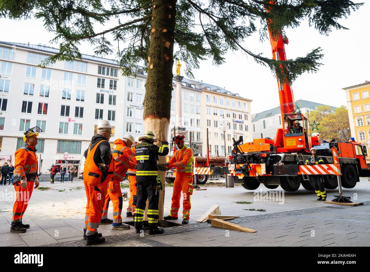 Monaco, Germania. 03rd Nov 2022. I vigili del fuoco e gli operai della città hanno allestito l'albero di Natale su Marienplatz con l'aiuto di una gru. Credit: Lennart Preiss/dpa/Alamy Live News Foto Stock