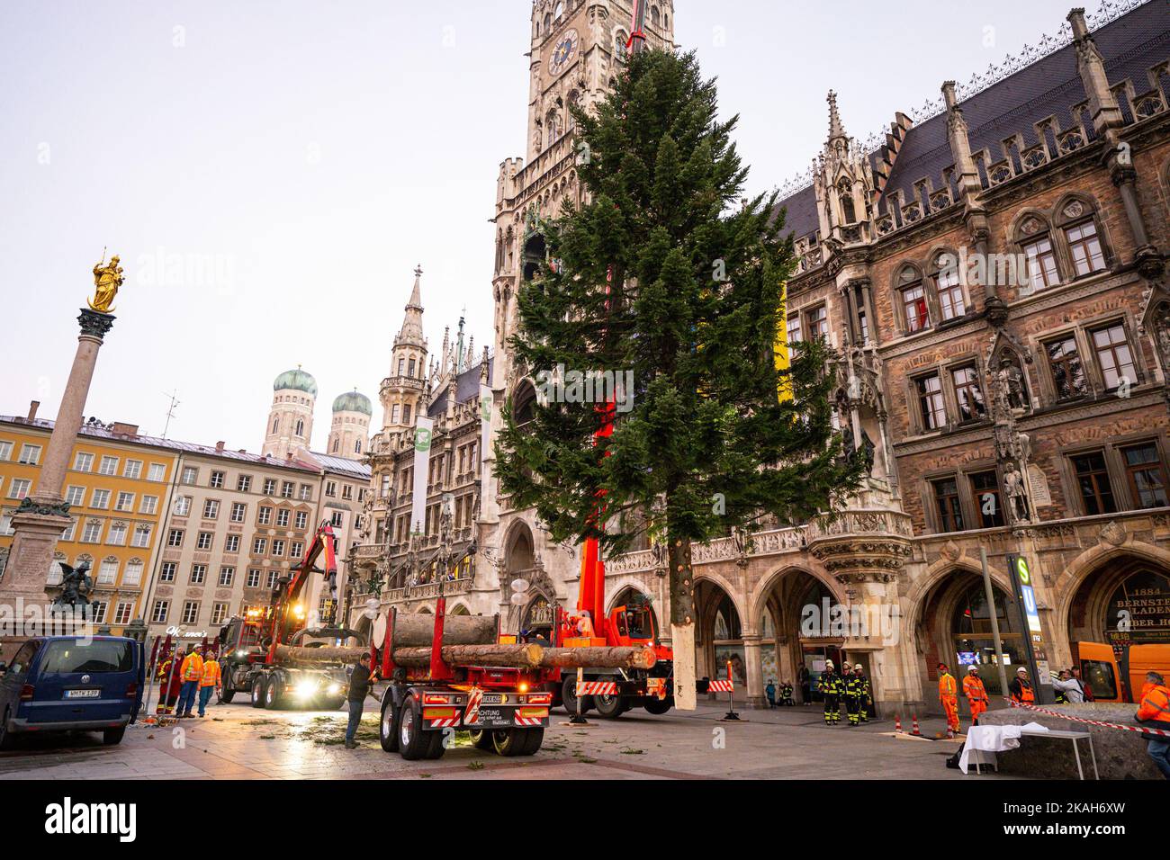 Monaco, Germania. 03rd Nov 2022. I vigili del fuoco hanno allestito l'albero di Natale su Marienplatz con l'aiuto di una gru. Credit: Lennart Preiss/dpa/Alamy Live News Foto Stock