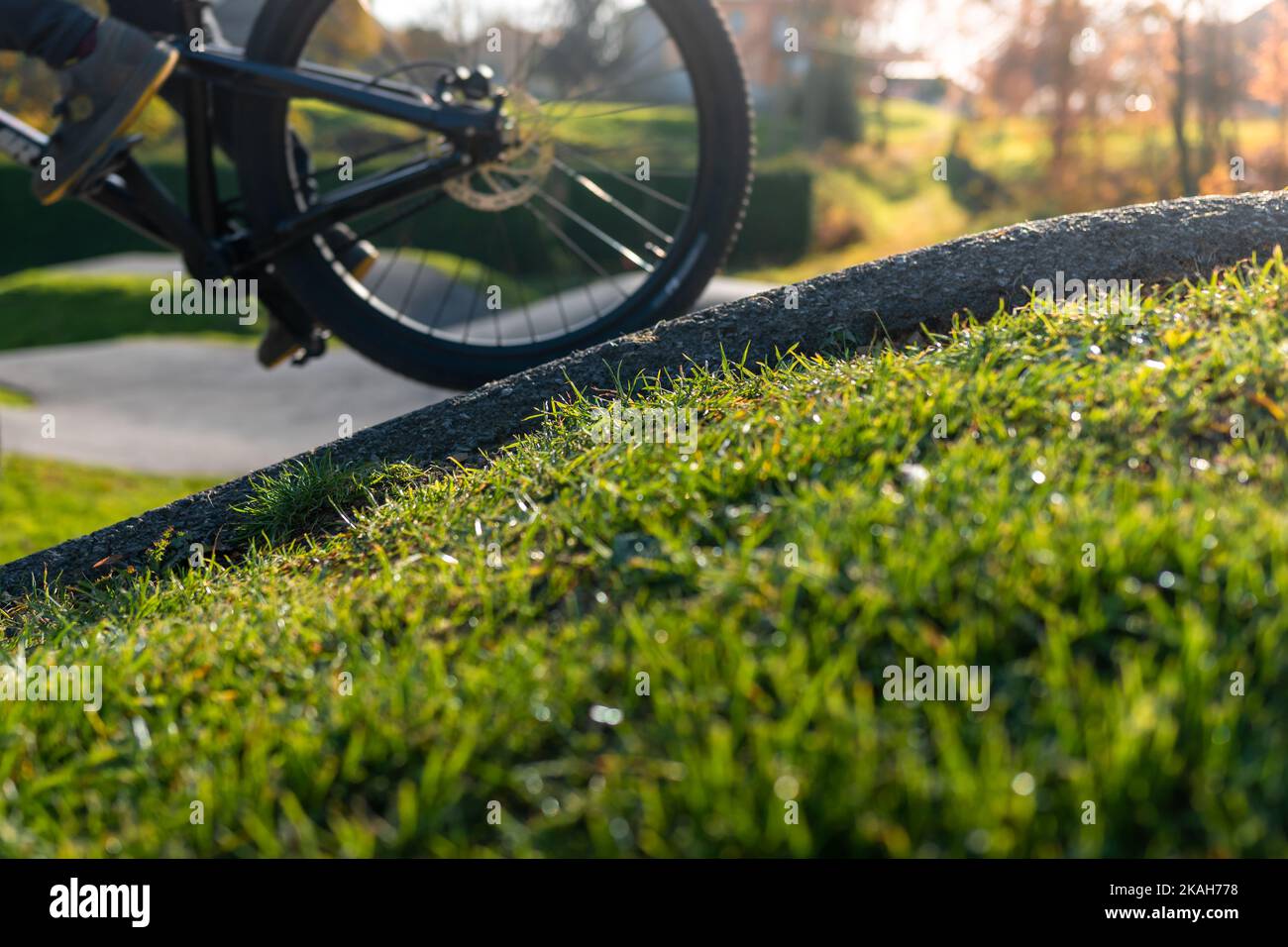 Ruota ciclabile su pista di pompaggio asfalto circondata da erba e natura in una giornata di sole. Foto Stock