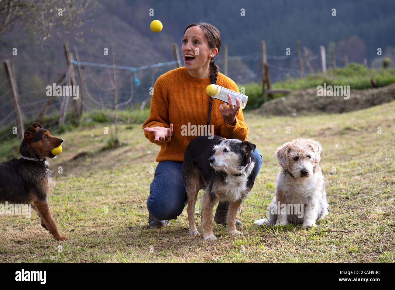 Donna caucasica di 35 anni con lunghi capelli castani che gioca con palle da tennis con i suoi tre cani in giardino. Felicità. Ritratto di famiglia. Foto Stock