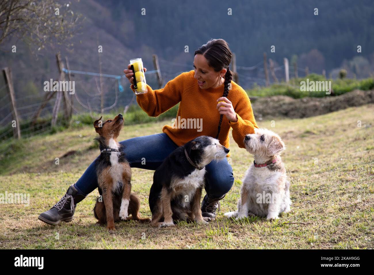 donna caucasica di 35 anni con capelli castani lunghi che mostrano il regalo ai suoi cani. palle da tennis con cui giocare. emozione. foto di famiglia. Spazio di copia. Foto Stock