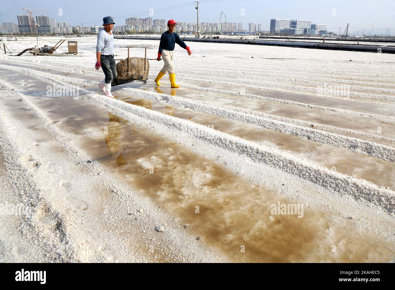 LIANYUNGANG, CINA - 3 NOVEMBRE 2022 - lavoratori che lavorano nel campo di sale di Dapu a Lianyungang City, Provincia di Jiangsu, Cina, 3 novembre 2022. Foto Stock