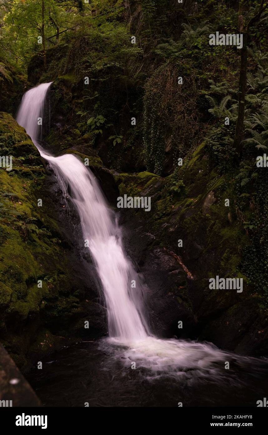 Cascate di Dolgoch, gwynedd, Galles del Nord Regno Unito. Foto Stock