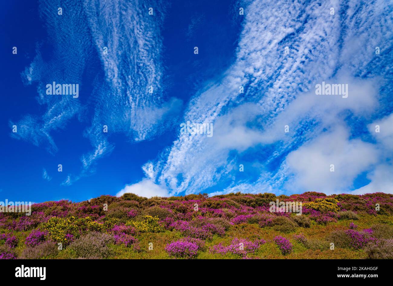 Vista da Penycloddiau a Moel Famau e Moel Arthur Foto Stock