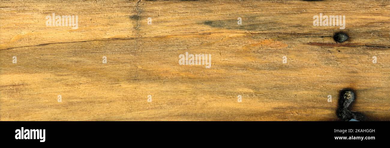 Grana di legno texture. Legno di carpino bruciato, può essere usato come sfondo, sfondo di modello Foto Stock